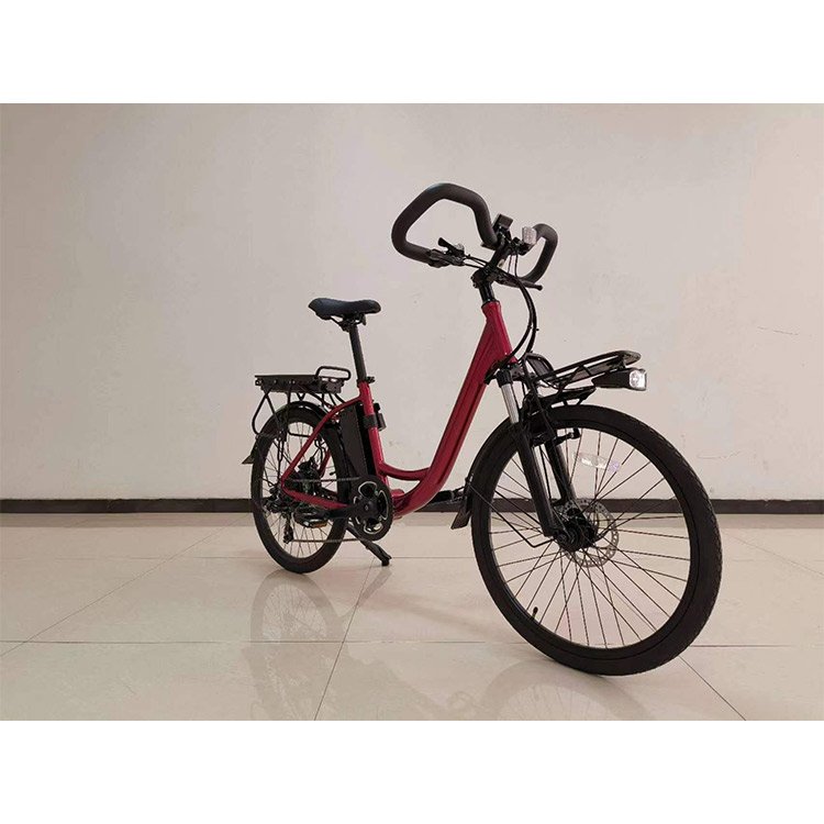 Large Capacity 350w 48v 12Ah Drum Brake 20 Inch Tire 350w Offroad Mountain City Electric Bicycle With Battery